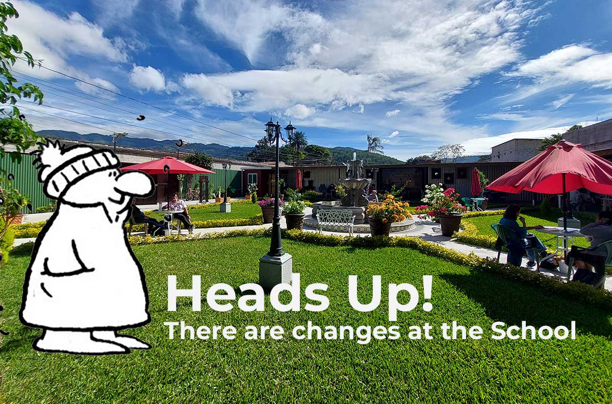 Spanish School new garden