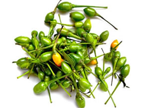 chiltepe guatemala
